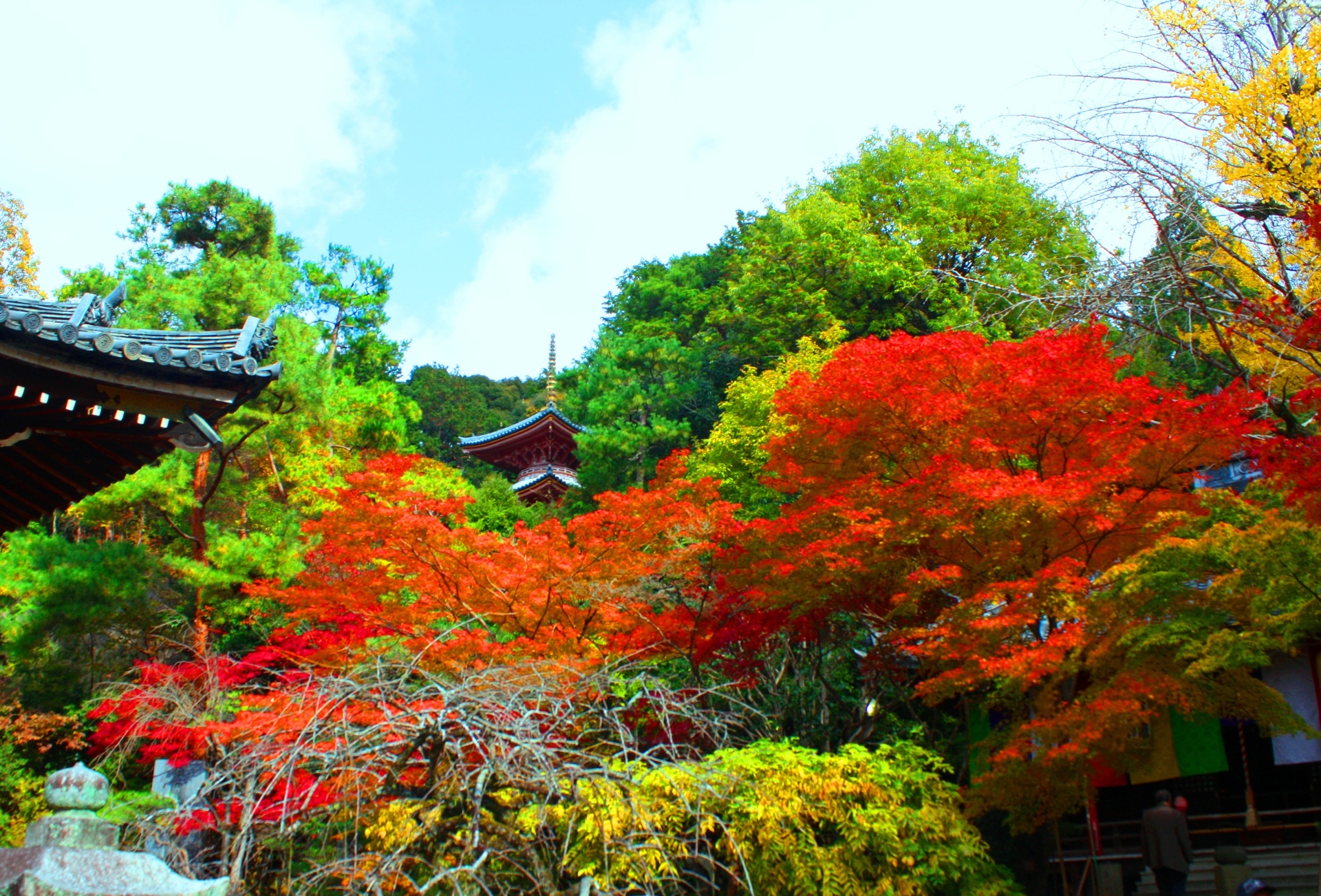 日本の風景 京都紅葉 壁紙19x1302 壁紙館