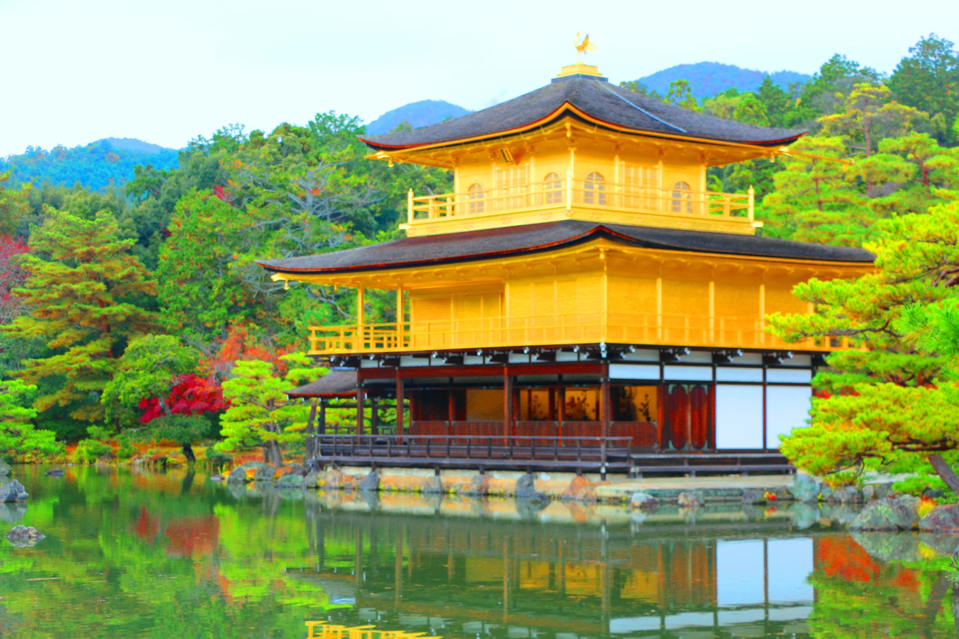 日本の風景 金閣寺紅葉 壁紙19x1280 壁紙館