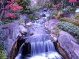 浅草寺の滝と紅葉