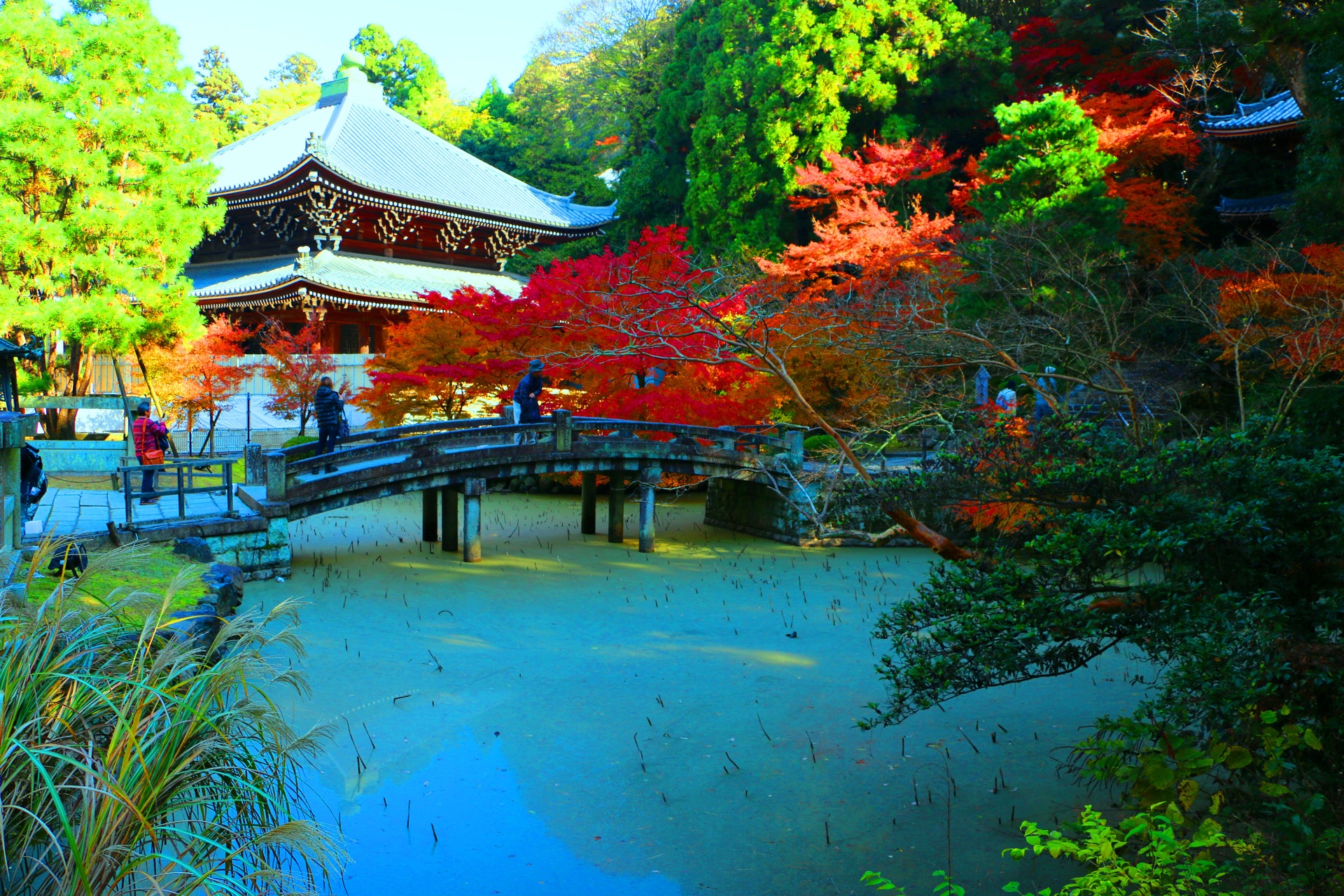 21年の最高 京都 壁紙 Iphone Jpbestwallpaper 21年の最高 京都 壁紙 Iphone Jpbestwallpaper