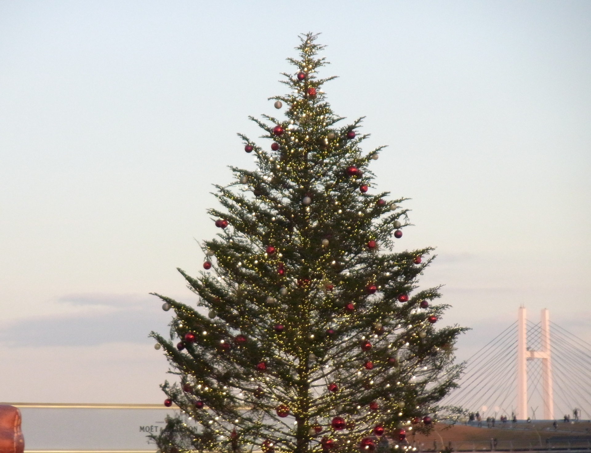 日本の風景 横浜のクリスマスツリー 壁紙19x1473 壁紙館