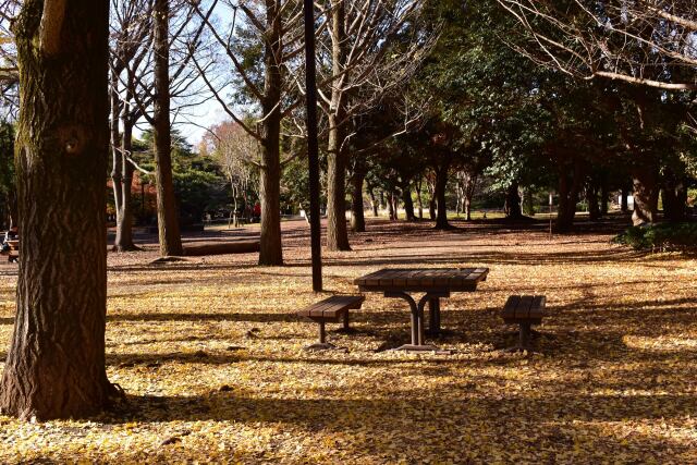 ここでひと休み18