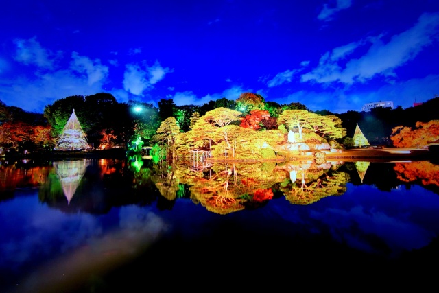 六義園ライトアップ