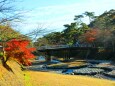 養老公園紅葉