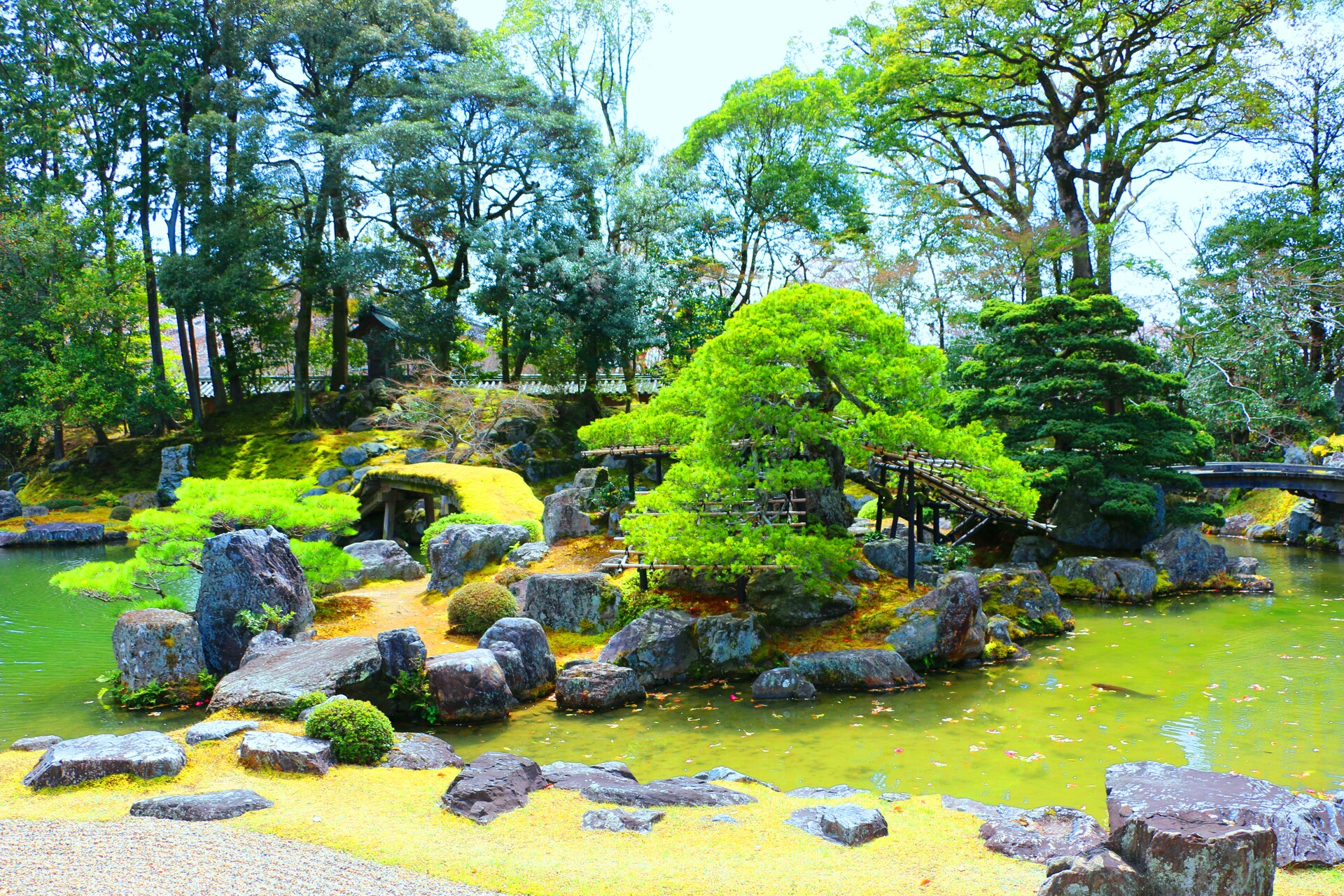 日本の風景 醍醐寺日本庭園 壁紙19x1280 壁紙館