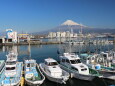 富士山と漁港