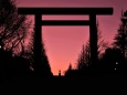 靖国神社の夕景