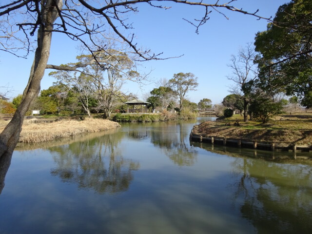 冬のクリーク風景