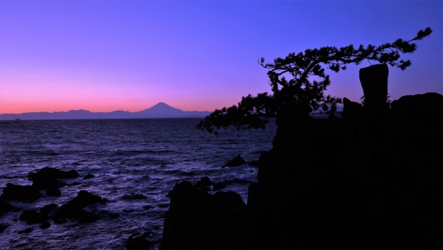 千貫松と富士山