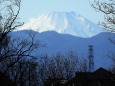 桜が丘公園から見た富士山