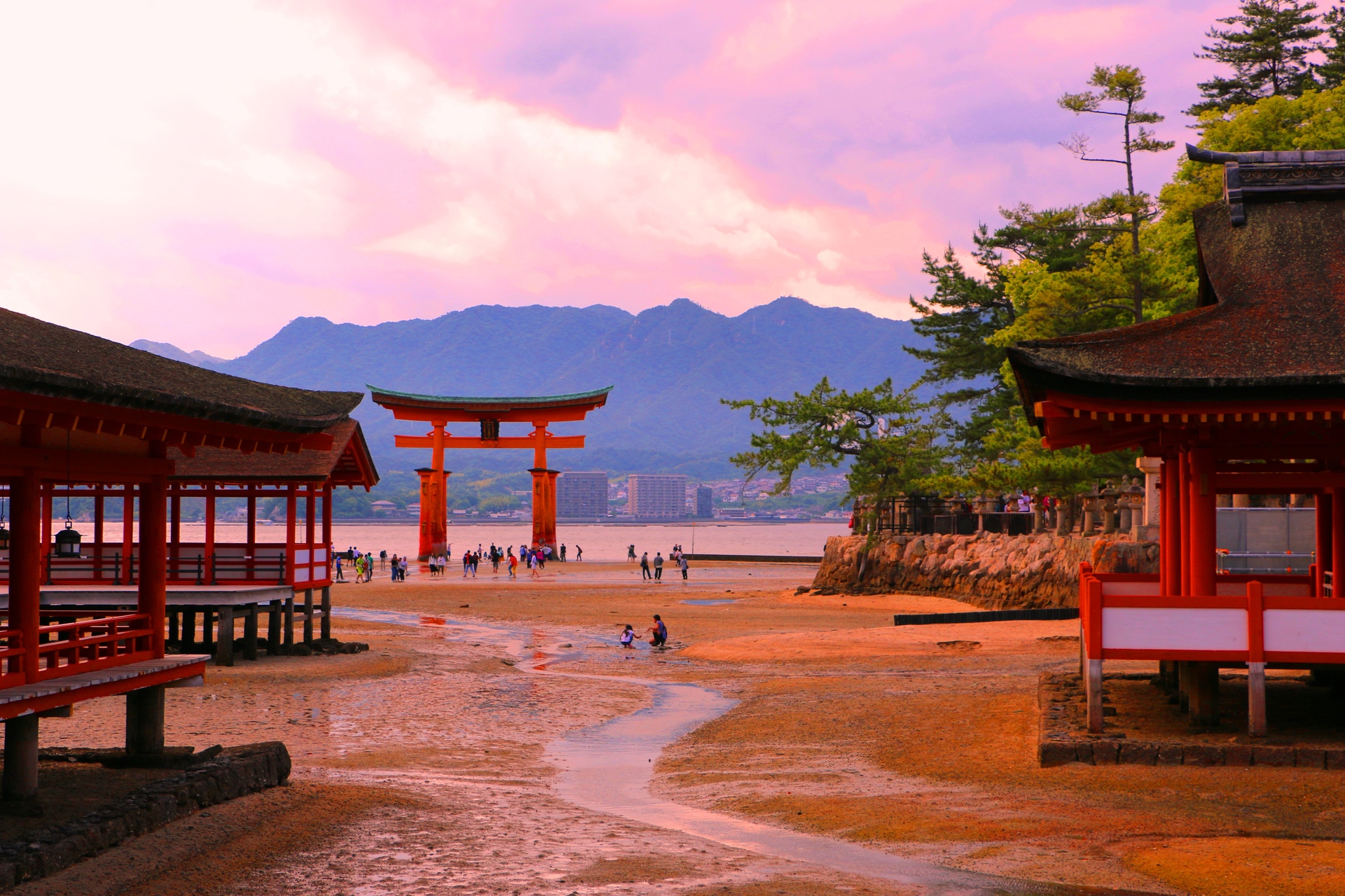 夜景 花火 イルミ 厳島神社 壁紙19x1280 壁紙館