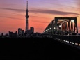 スカイツリーと木根川橋の夕景