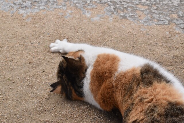 た・す・け・て…。