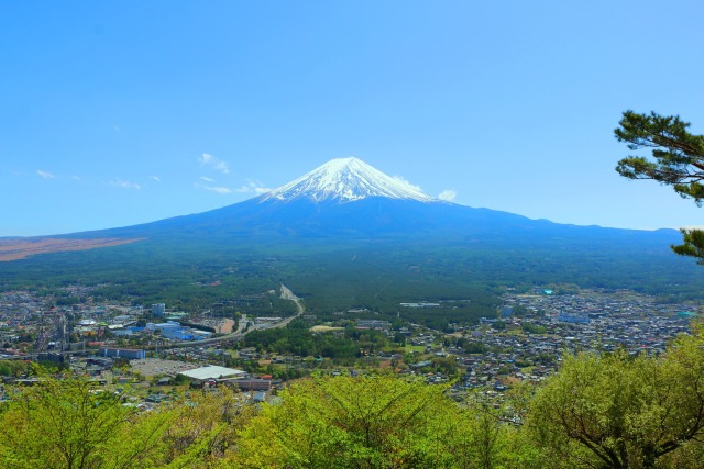 河口湖の街並みと富士山