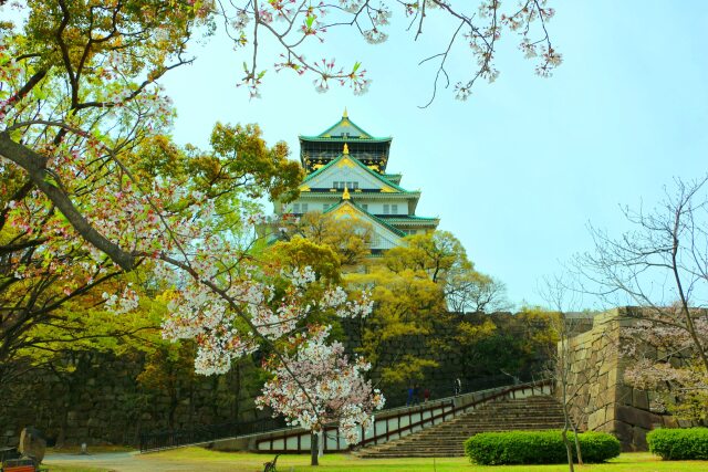 桜と大阪城