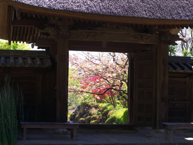 春の西方寺