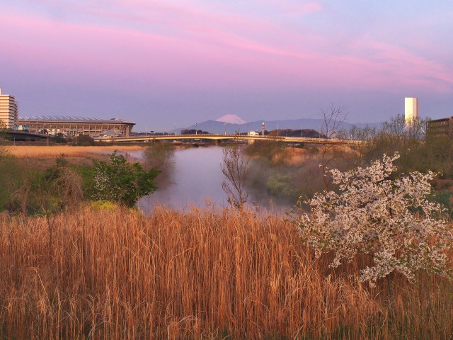 朝の鶴見川