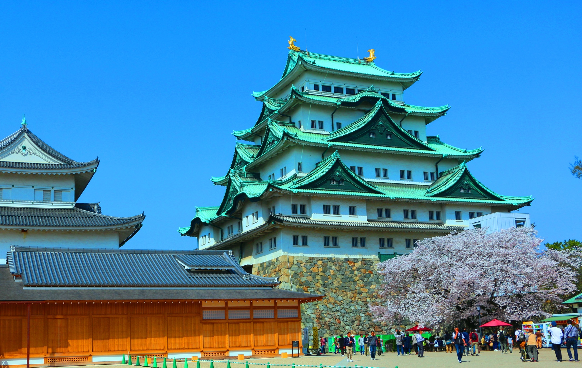 日本の風景 桜の名古屋城 壁紙19x1215 壁紙館