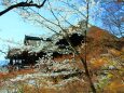 桜の改修前の清水寺