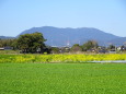 春景色の背景宝満山三郡山