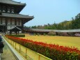 春の東大寺