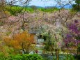 春の天龍寺