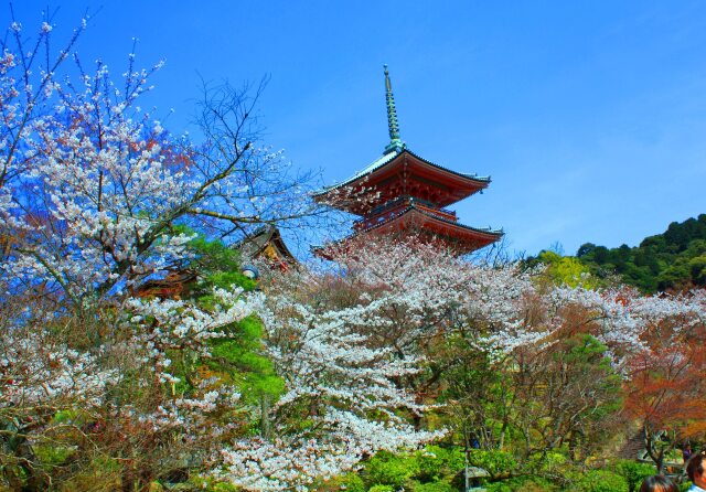 春の清水寺