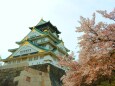 桜の大阪城