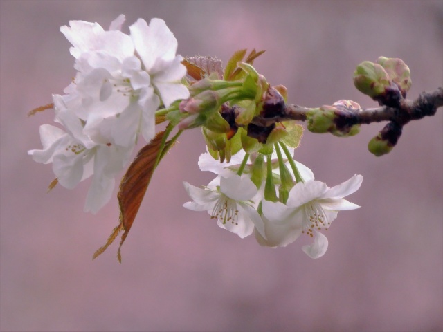 25年間おせわになりました。