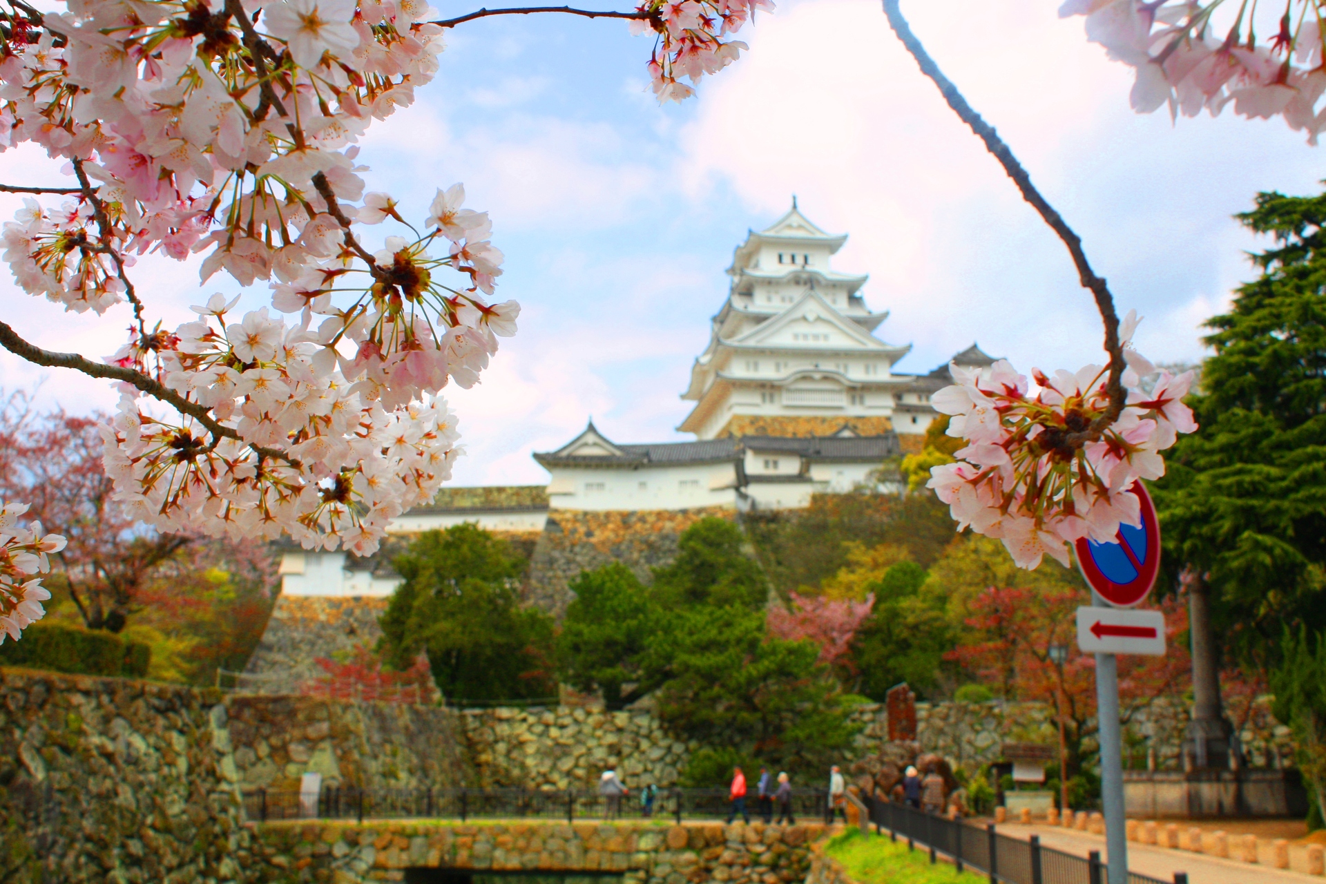 日本の風景 桜の姫路城 壁紙19x1280 壁紙館