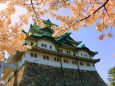 桜の名古屋城