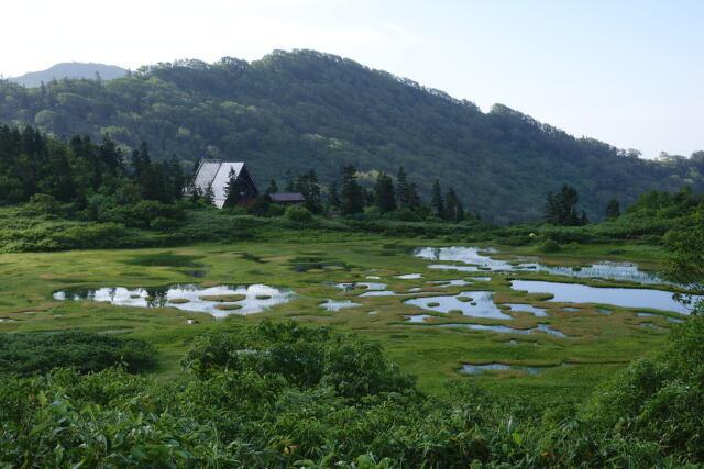 或る湿原