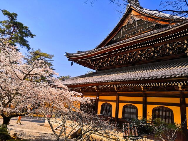 桜の南禅寺