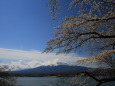 河口湖からの風景