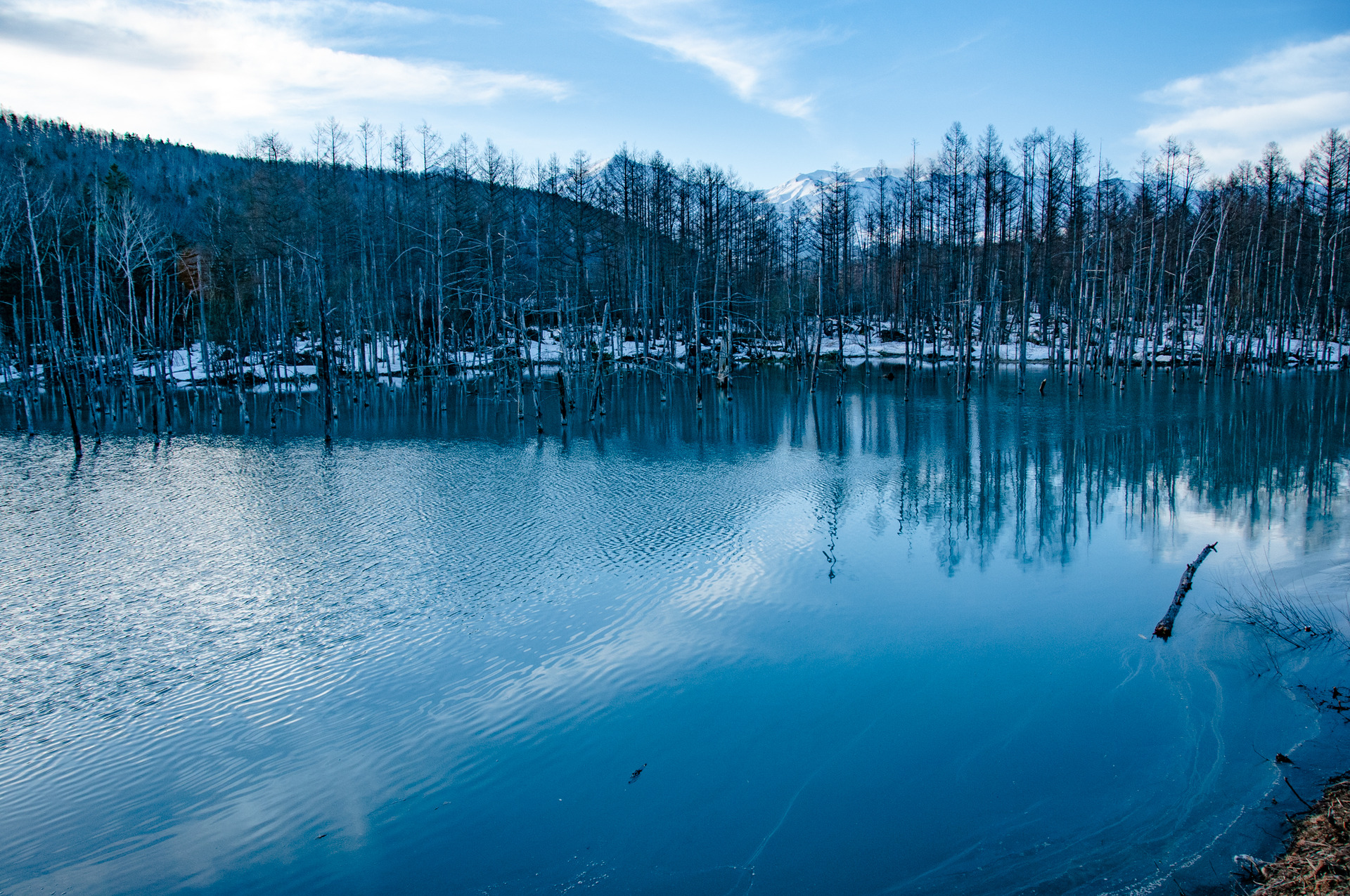 日本の風景 美瑛 青い池の夜明け 壁紙19x1275 壁紙館