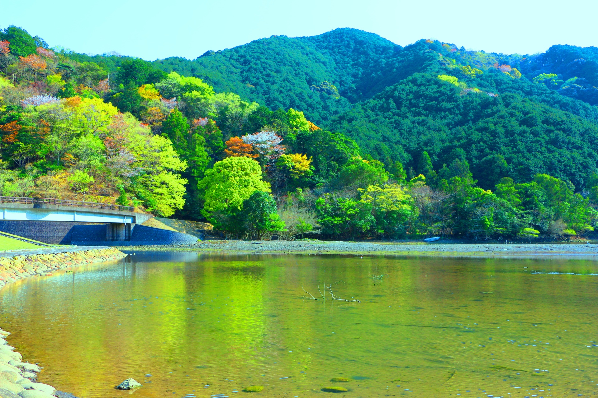 日本の風景 春の山 壁紙19x1280 壁紙館