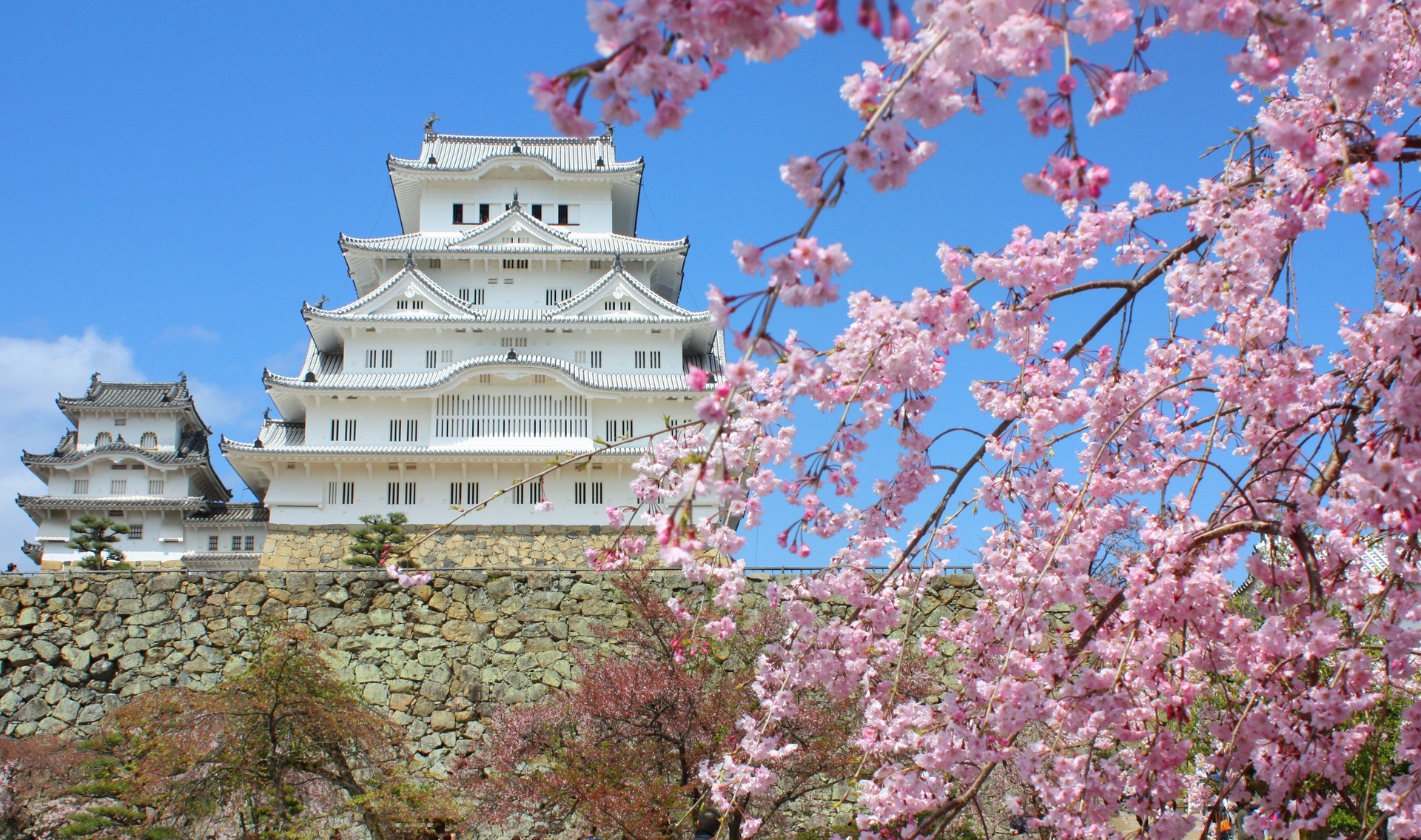 日本の風景 桜の姫路城 壁紙19x1135 壁紙館