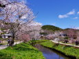 春の小川