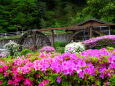 皐月の花咲く水車小屋