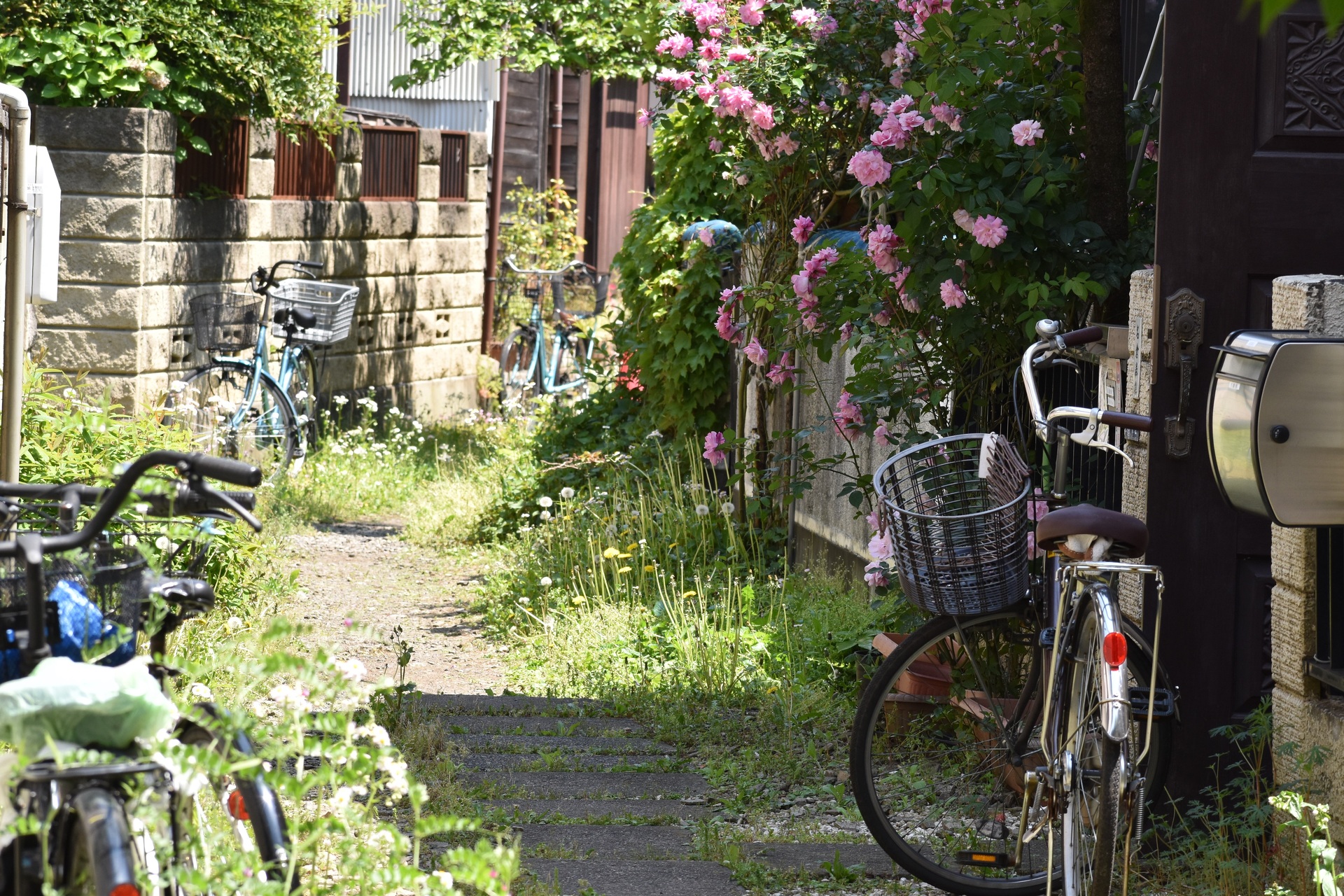 都市 街 室内 自転車の多い路地 壁紙19x1280 壁紙館