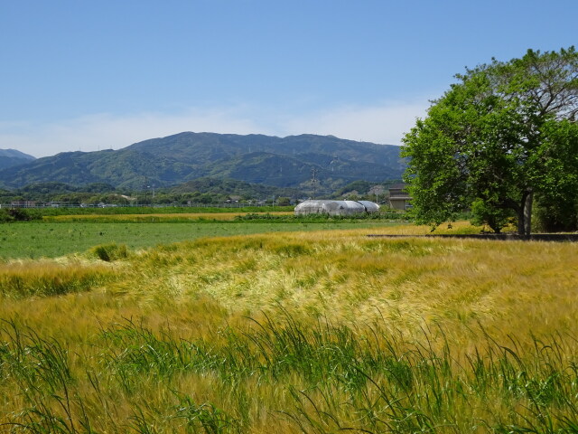 吹き渡る五月の風