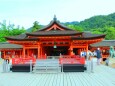 新緑の厳島神社