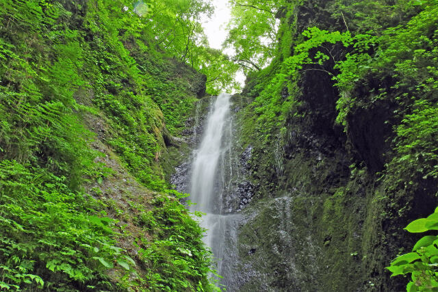 桂の滝 初夏