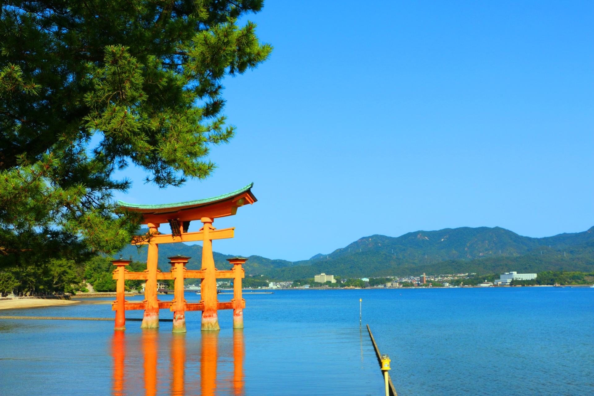 日本の風景 新緑の厳島神社 壁紙19x1280 壁紙館