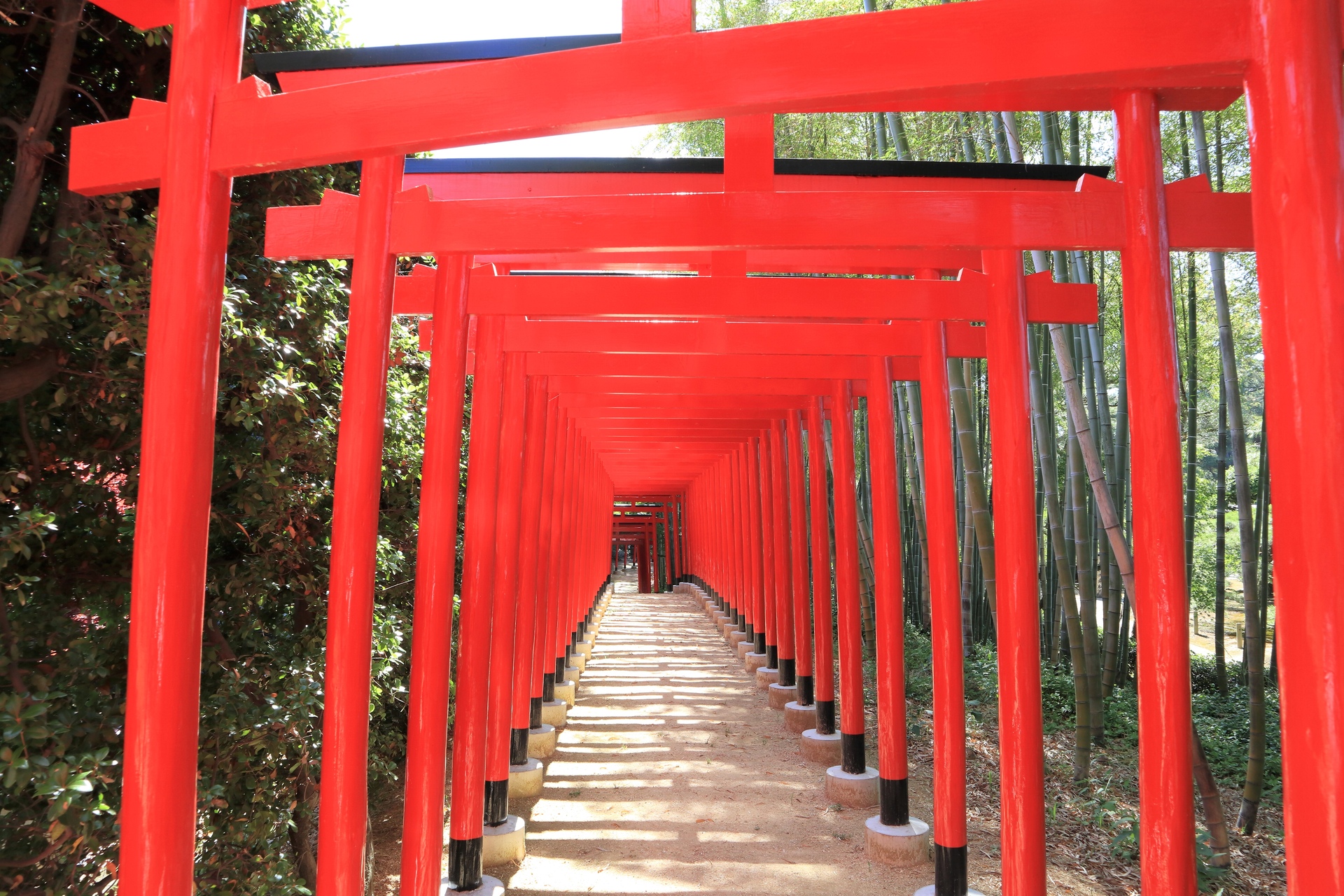 日本の風景 万象園の100本鳥居 壁紙19x1280 壁紙館 日本の風景 万象園の100本鳥居 壁紙19x1280 壁紙館