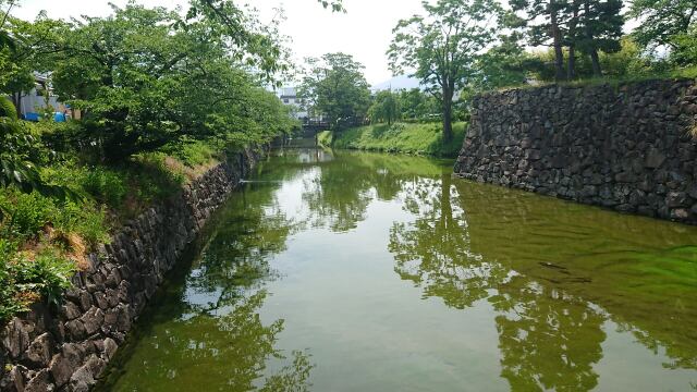 みどり囲む水面