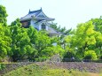 新緑の岡山城