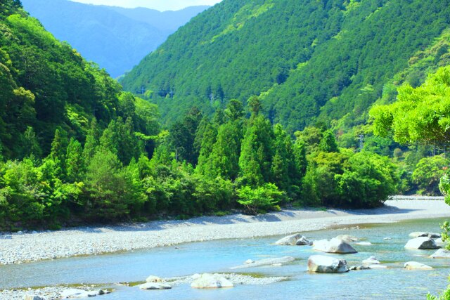 新緑の清流銚子川