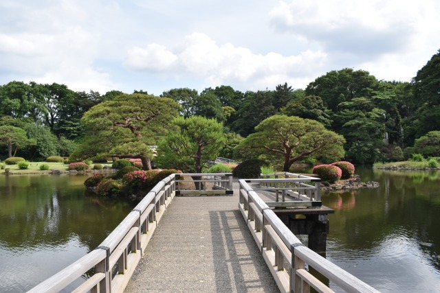 初夏の新宿御苑