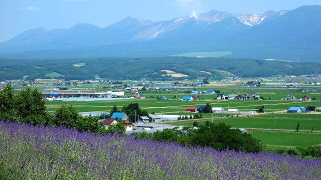 中富良野・ファーム富田の景色